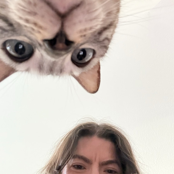 Trusted Cat Sitter