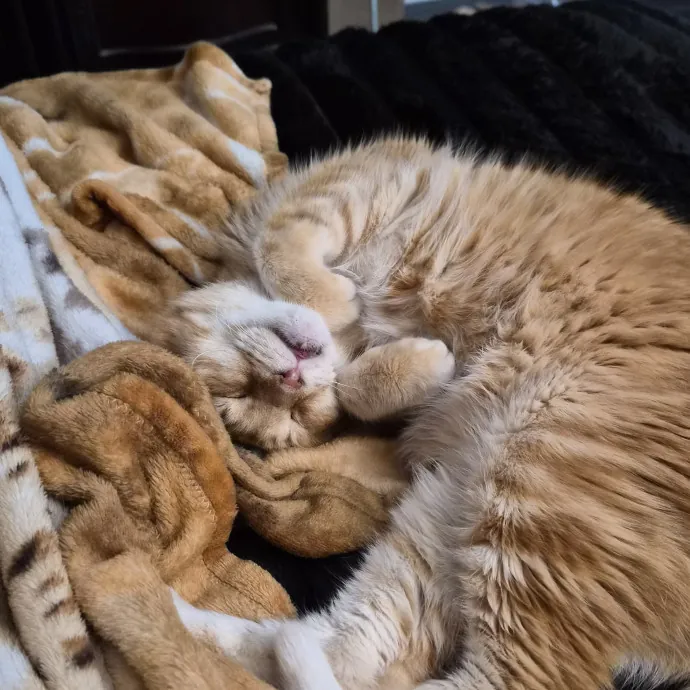 Skyler S.