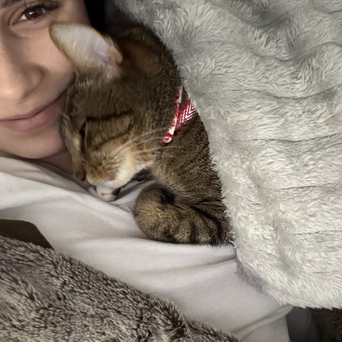 Cats Are A Girl's Best Friend