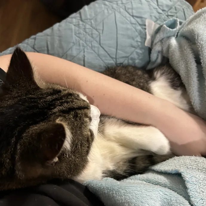 I'm A Total Cat Purr-Son photo 2
