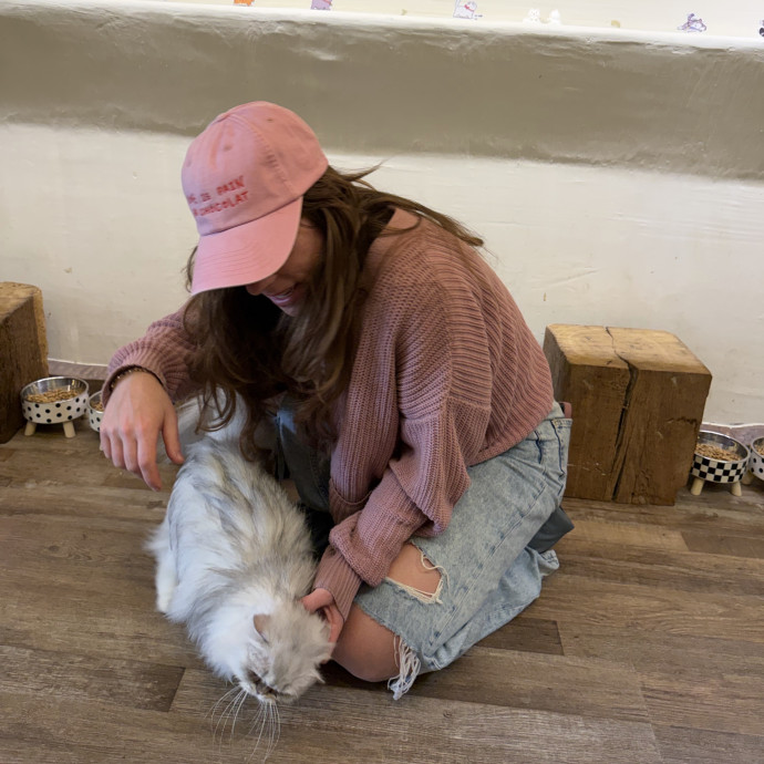 Purrfect Paws Pet Care By Jessica