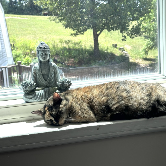 Cat And Plant Lover photo 2