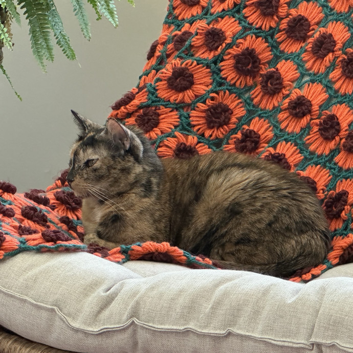 Cat And Plant Lover