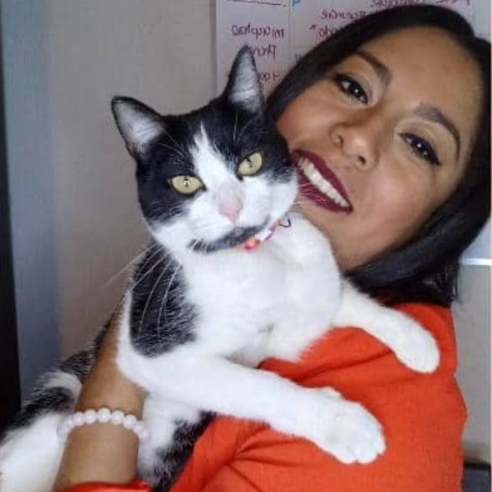 Steph Kitty Cat Lover