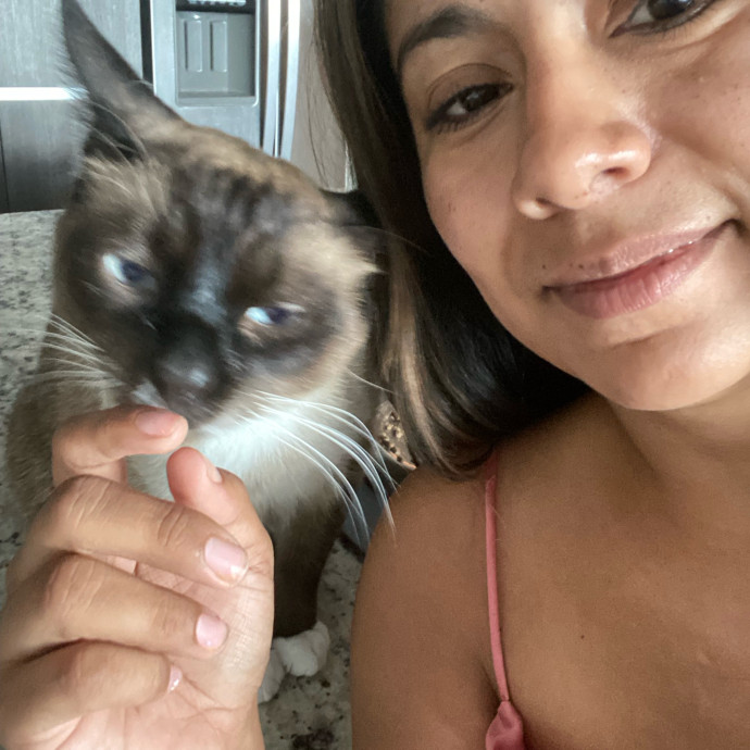 Steph Kitty Cat Lover