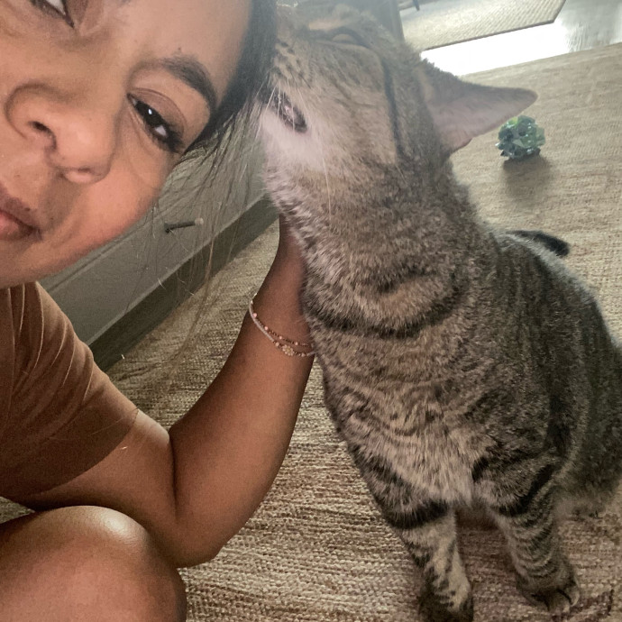 Steph Kitty Cat Lover