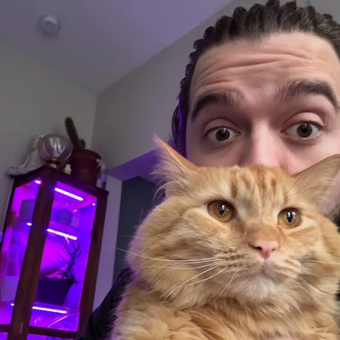 Trusted Cat Foster And Pet Parent