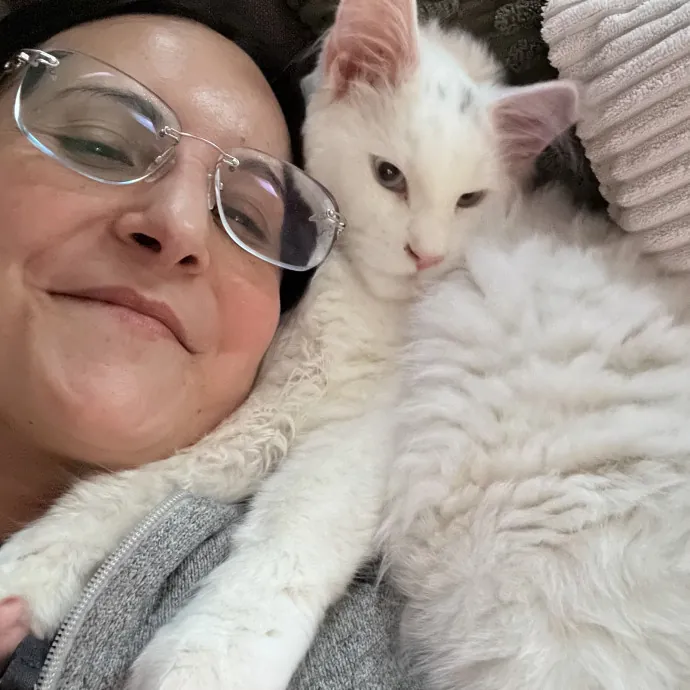 13 Years Of Cat Care Experience