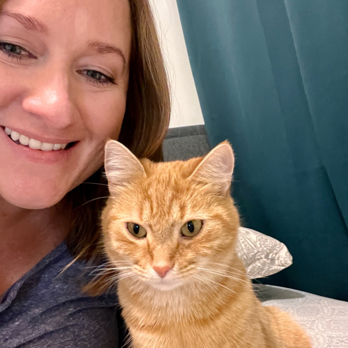Experienced And Caring Cat Sitter photo 2