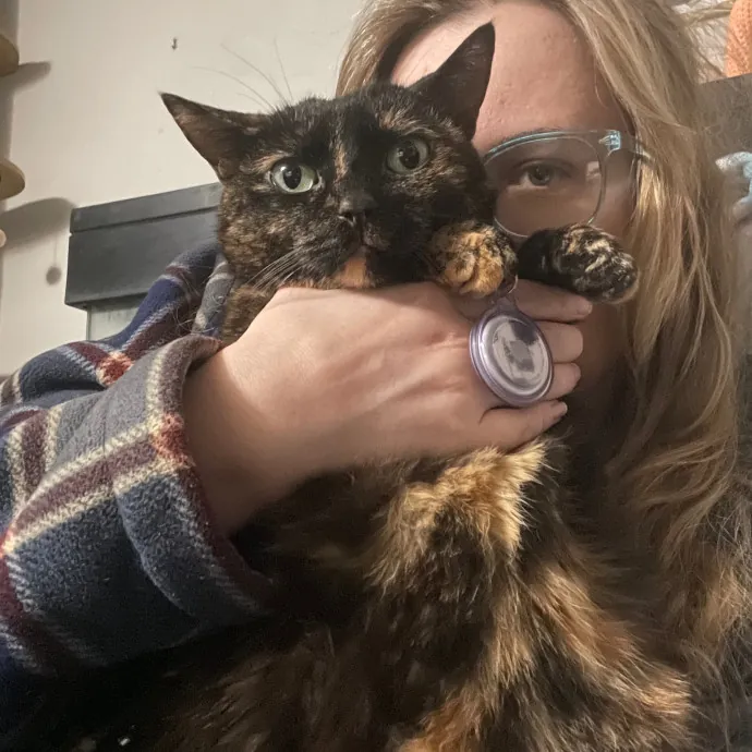 4 Love Of Cats - Meowtel Sitting Service