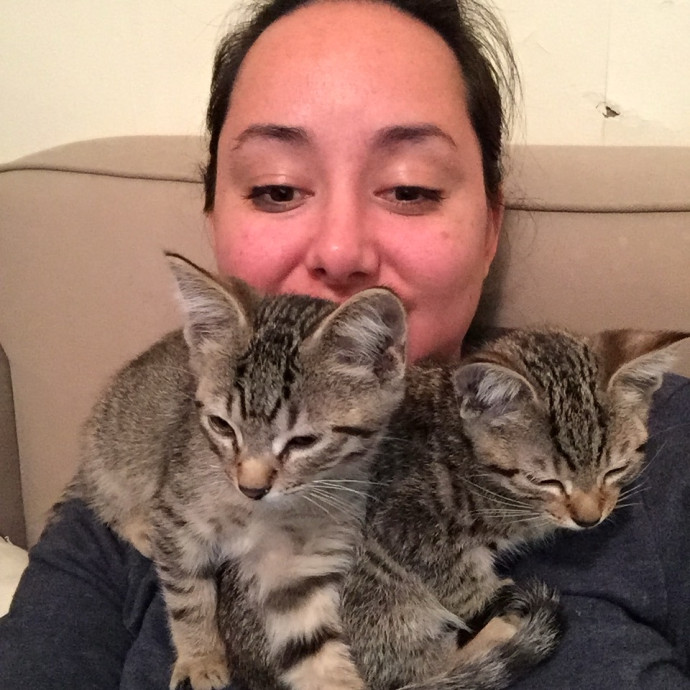 A And M Cat Sitting photo 3