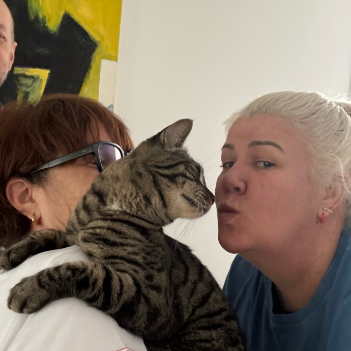 Kas's Kitty Cat Care