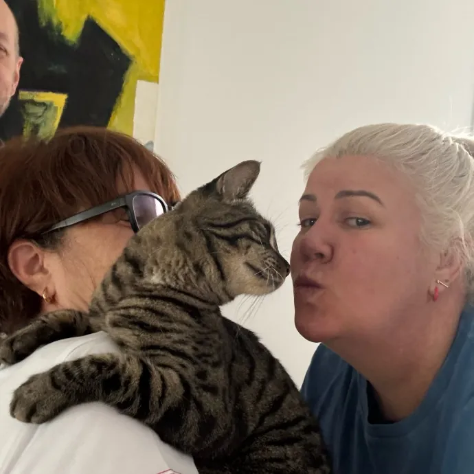 Kas's Kitty Cat Care