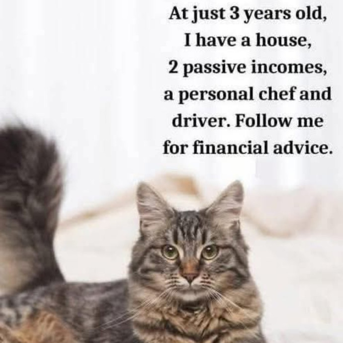 Genuine Cat Lover photo 2