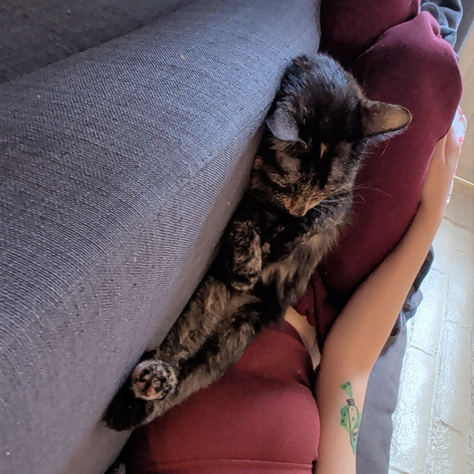 Your Purrferred Sitter W Base Access
