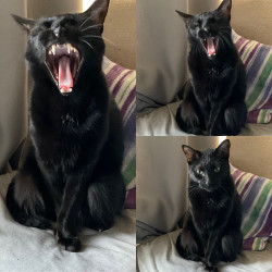 Photo #1 Photo #1