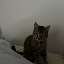 Photo #2