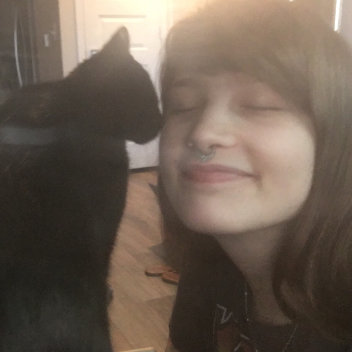 Your Cat's Purrfect Companion photo 2