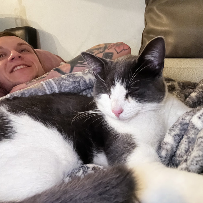 Work-From-Home Cat Dad And Cat Sitter