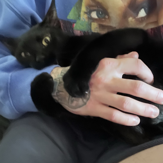Work-From-Home Cat Dad And Cat Sitter photo 3