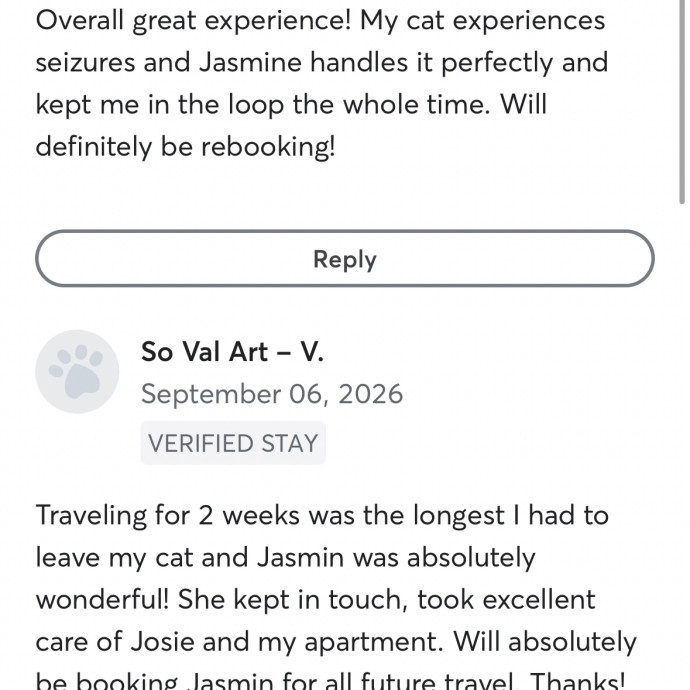 Pawsitivley Reliable Cat-Sitter