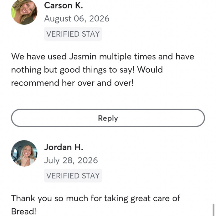 Pawsitivley Reliable Cat-Sitter