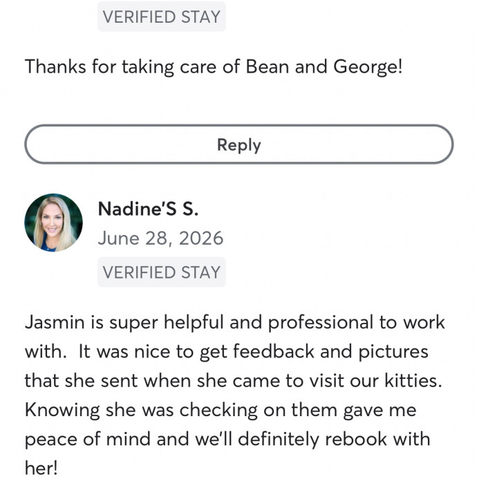 Pawsitivley Reliable Cat-Sitter