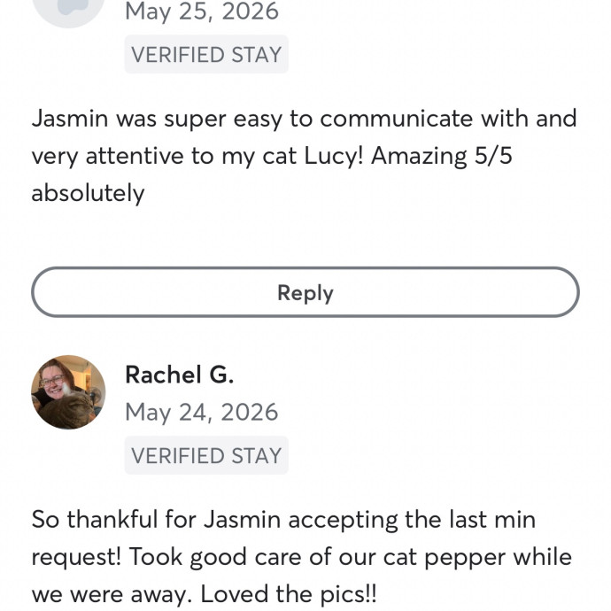 Pawsitivley Reliable Cat-Sitter photo 3