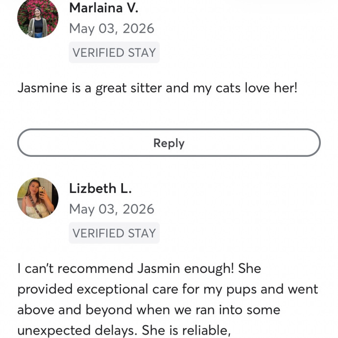 Pawsitivley Reliable Cat-Sitter photo 2