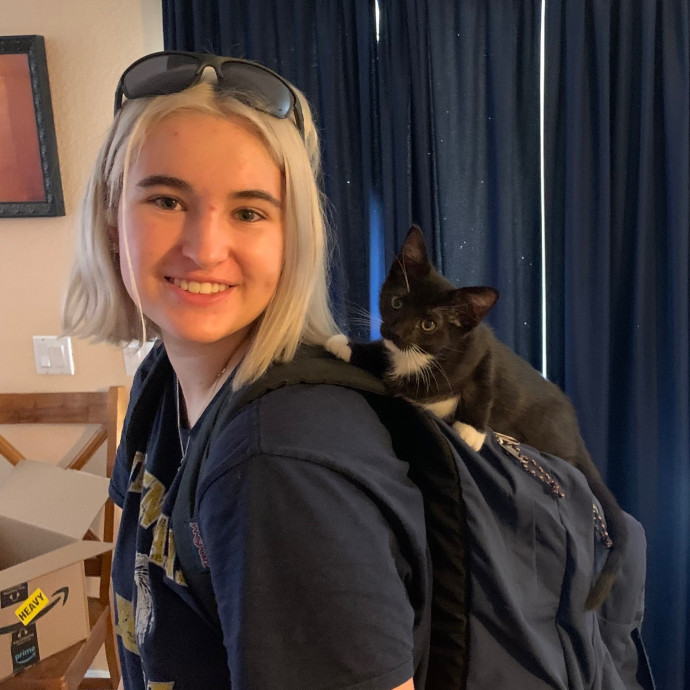 Lexie's Cat Care Extravaganza