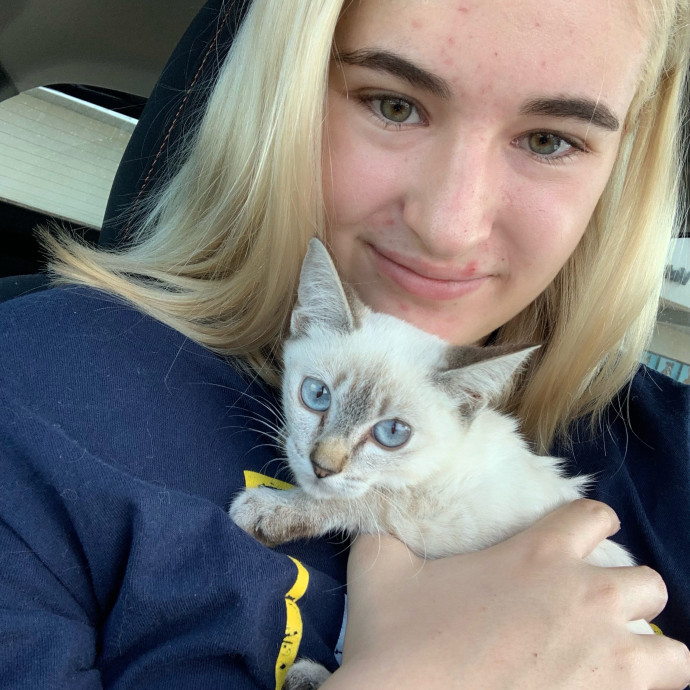 Lexie's Cat Care Extravaganza