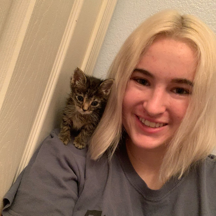 Lexie's Cat Care Extravaganza