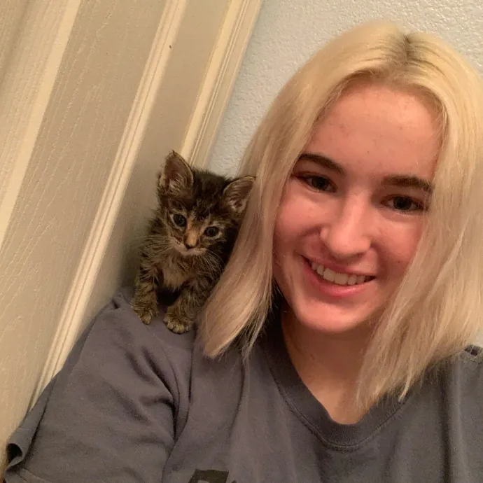 Lexie's Cat Care Extravaganza