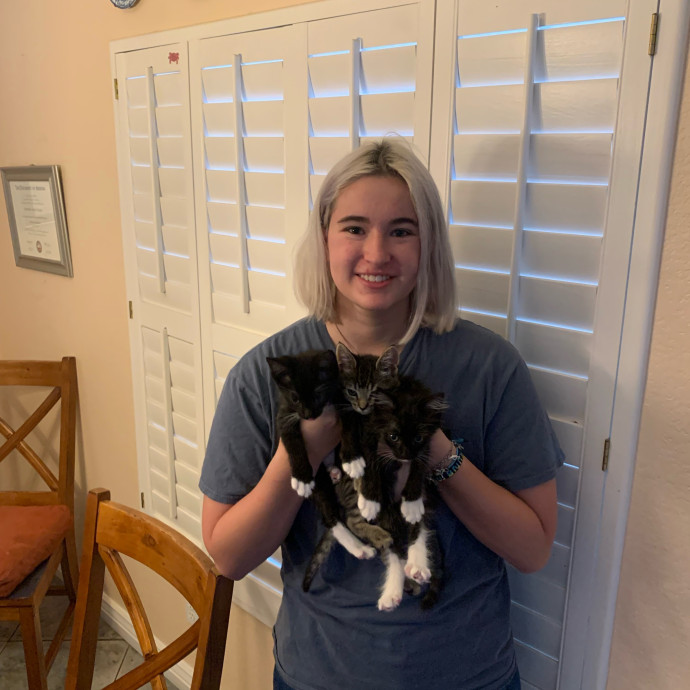 Lexie's Cat Care Extravaganza