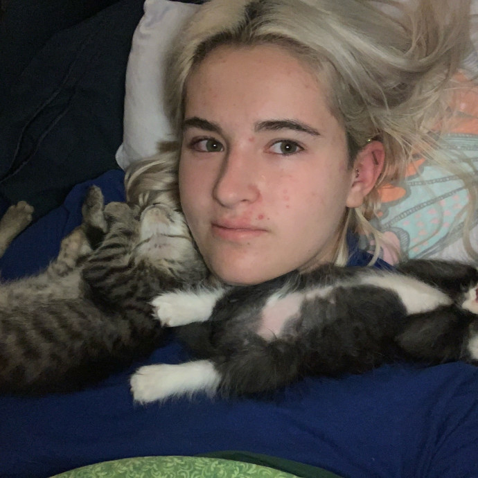 Lexie's Cat Care Extravaganza
