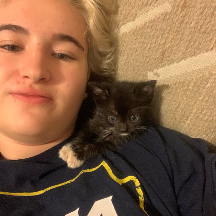 Lexie's Cat Care Extravaganza