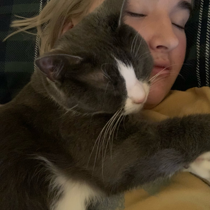 Lexie's Cat Care Extravaganza