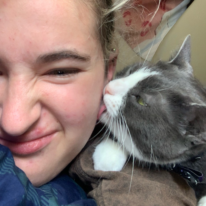 Lexie's Cat Care Extravaganza