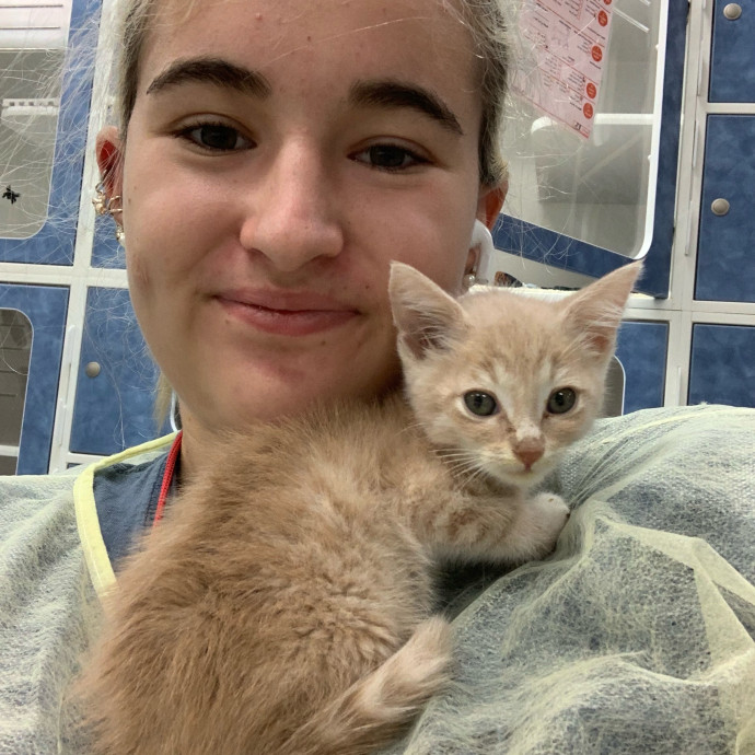 Lexie's Cat Care Extravaganza