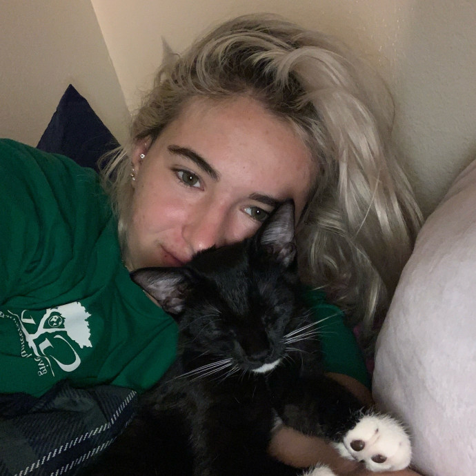 Lexie's Cat Care Extravaganza