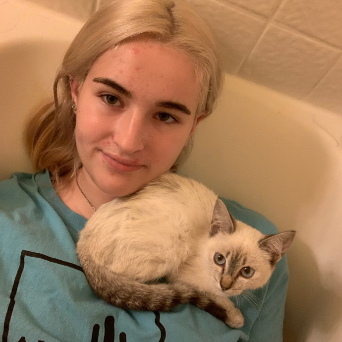 Lexie's Cat Care Extravaganza