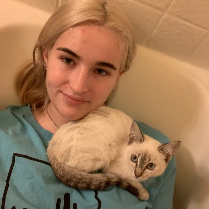 Lexie's Cat Care Extravaganza