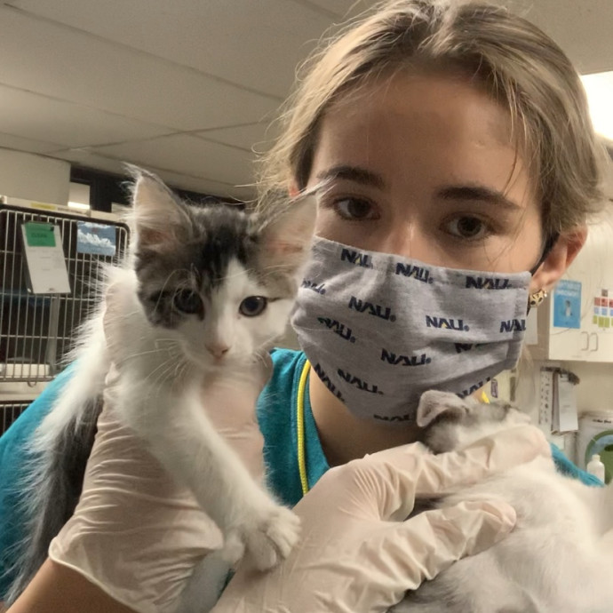 Lexie's Cat Care Extravaganza