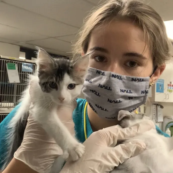 Lexie's Cat Care Extravaganza