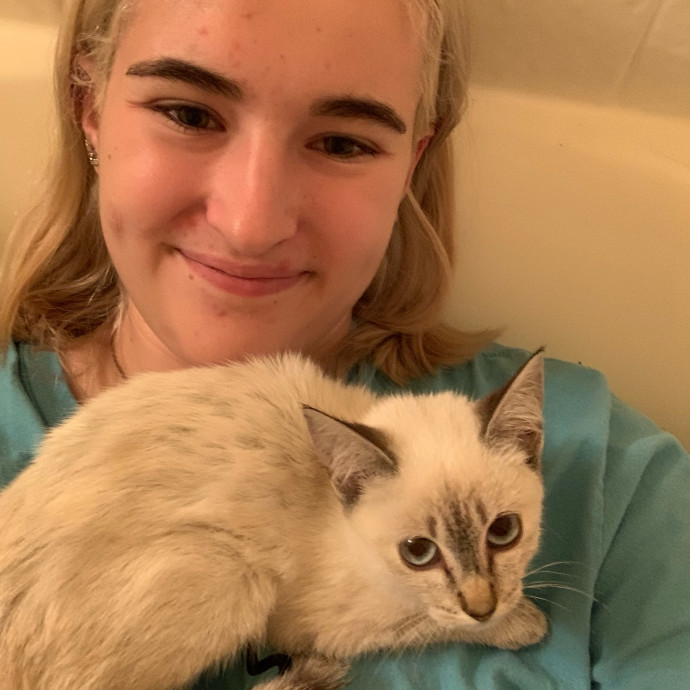 Lexie's Cat Care Extravaganza