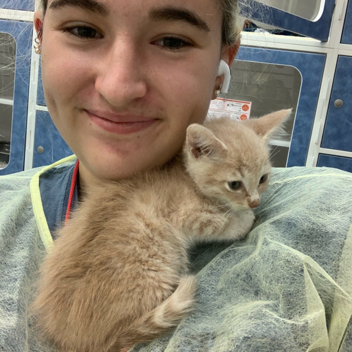 Lexie's Cat Care Extravaganza