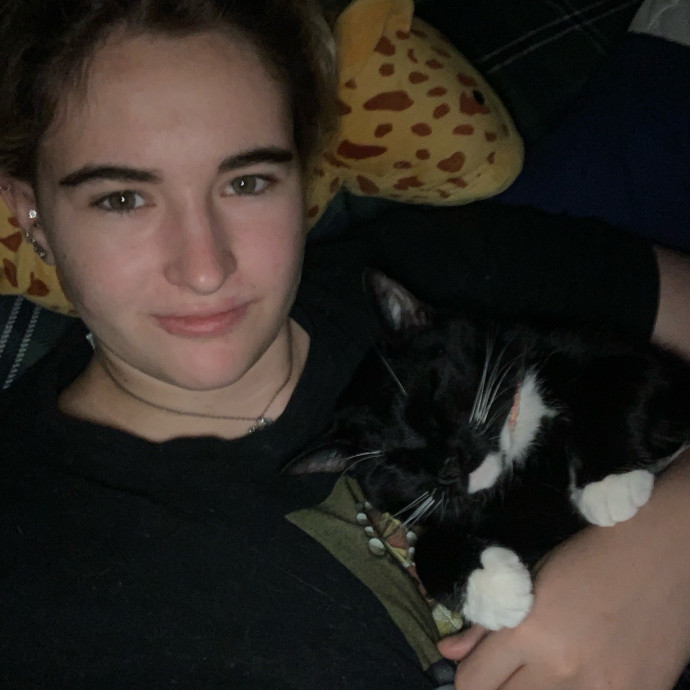 Lexie's Cat Care Extravaganza