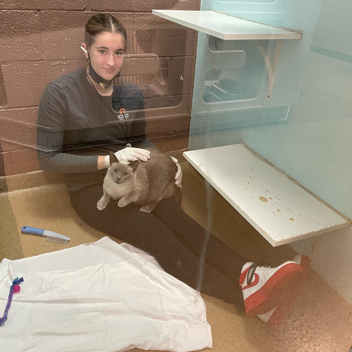 Lexie's Cat Care Extravaganza
