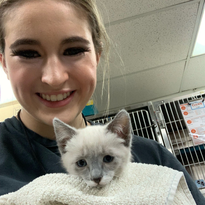 Lexie's Cat Care Extravaganza