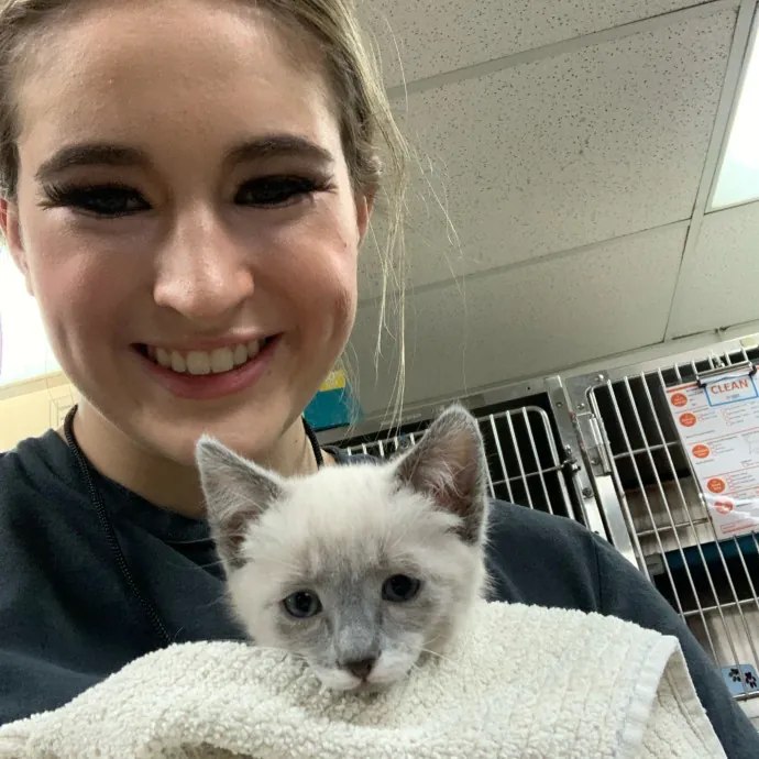 Lexie's Cat Care Extravaganza
